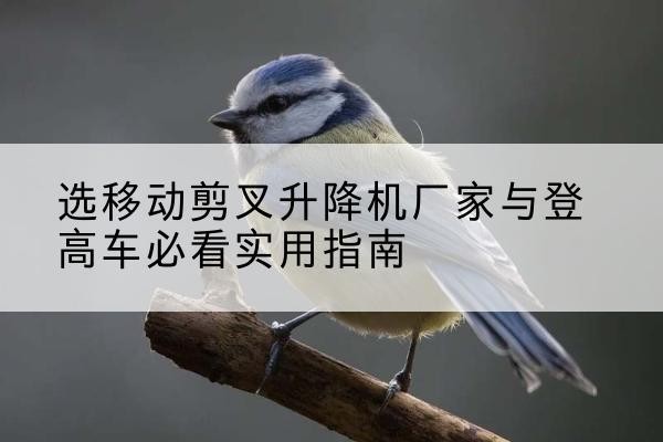 德安电动升降机厂家-选移动剪叉升降机厂家与登高车必看实用指南