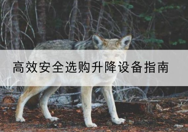 德安升降货梯厂家推荐-*安全选购升降设备指南