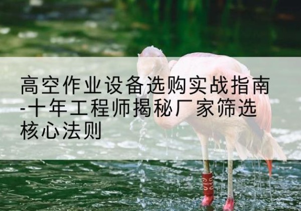 德安剪叉式升降机厂家-高空作业设备选购实战指南-十年工程师揭秘厂家筛选核心法则